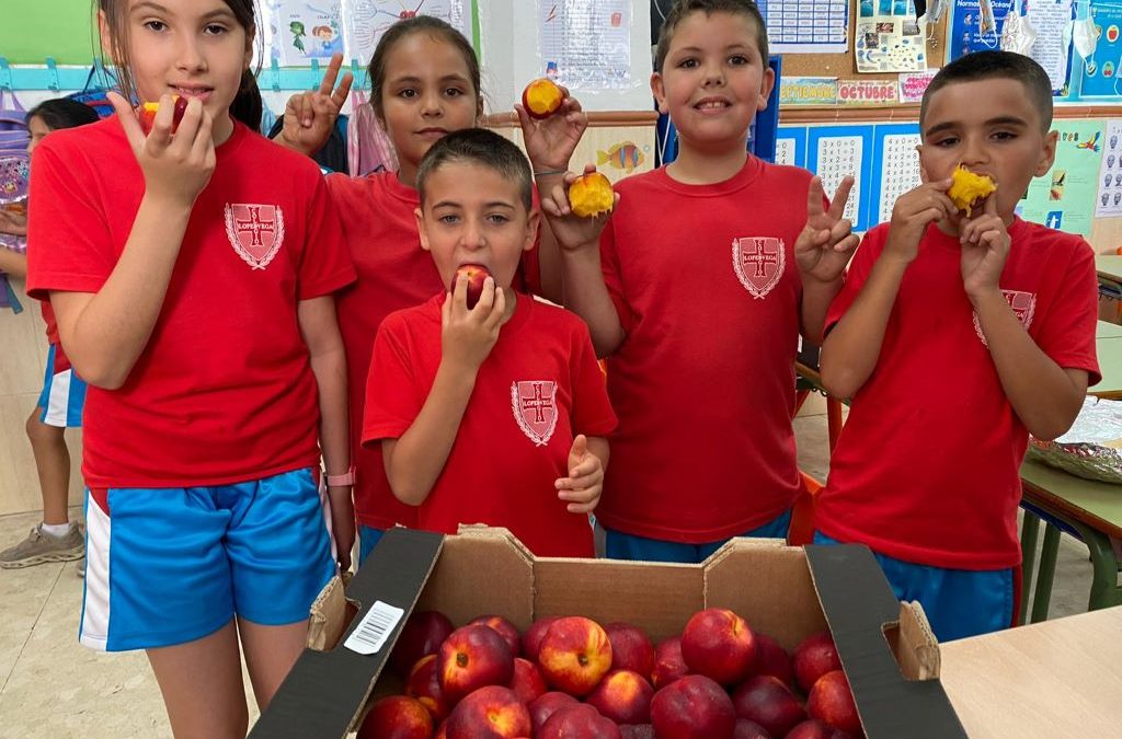 Creciendo en Salud, Hábitos Saludables